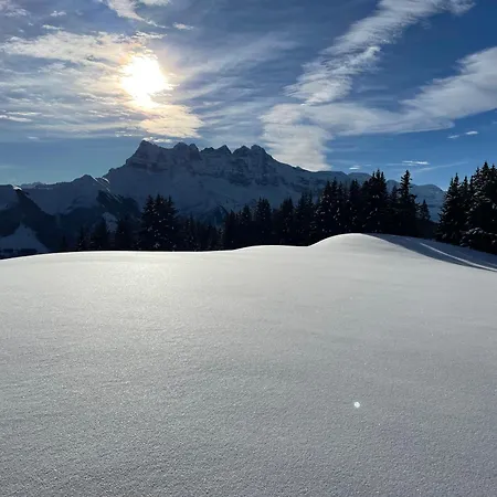 Daire Les Dents-du-midi Monthey