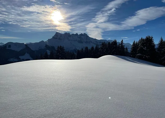 Daire Les Dents-du-midi Monthey