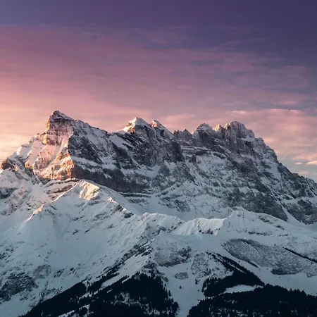 Apartamento Les Dents-du-midi